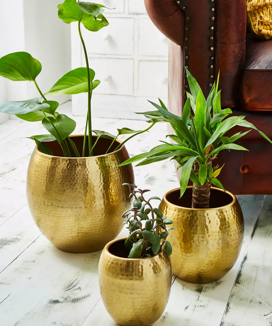 Joe Browns Nature Decor<Set Of 3 Statement Gold Hammered Planters